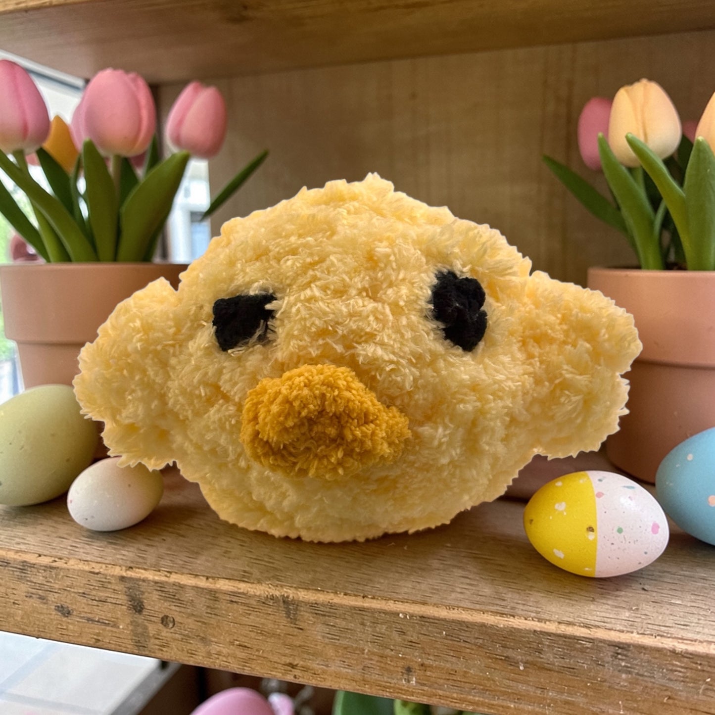 Pip – A Little Ray of Sunshine