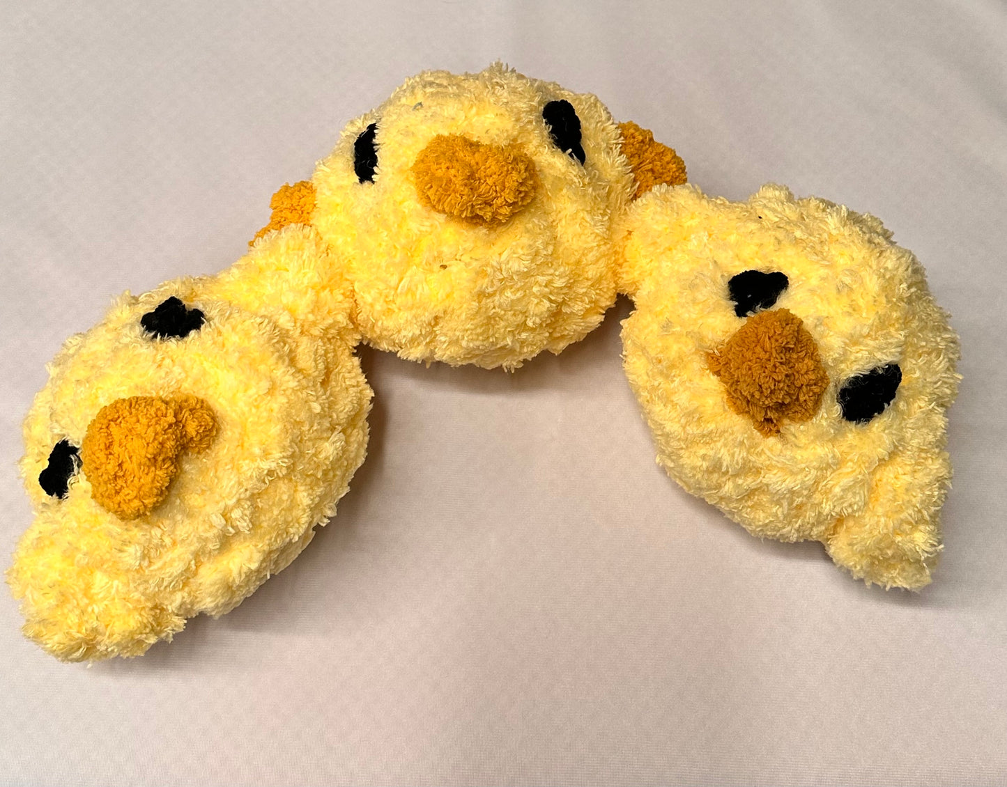 Pip – A Little Ray of Sunshine