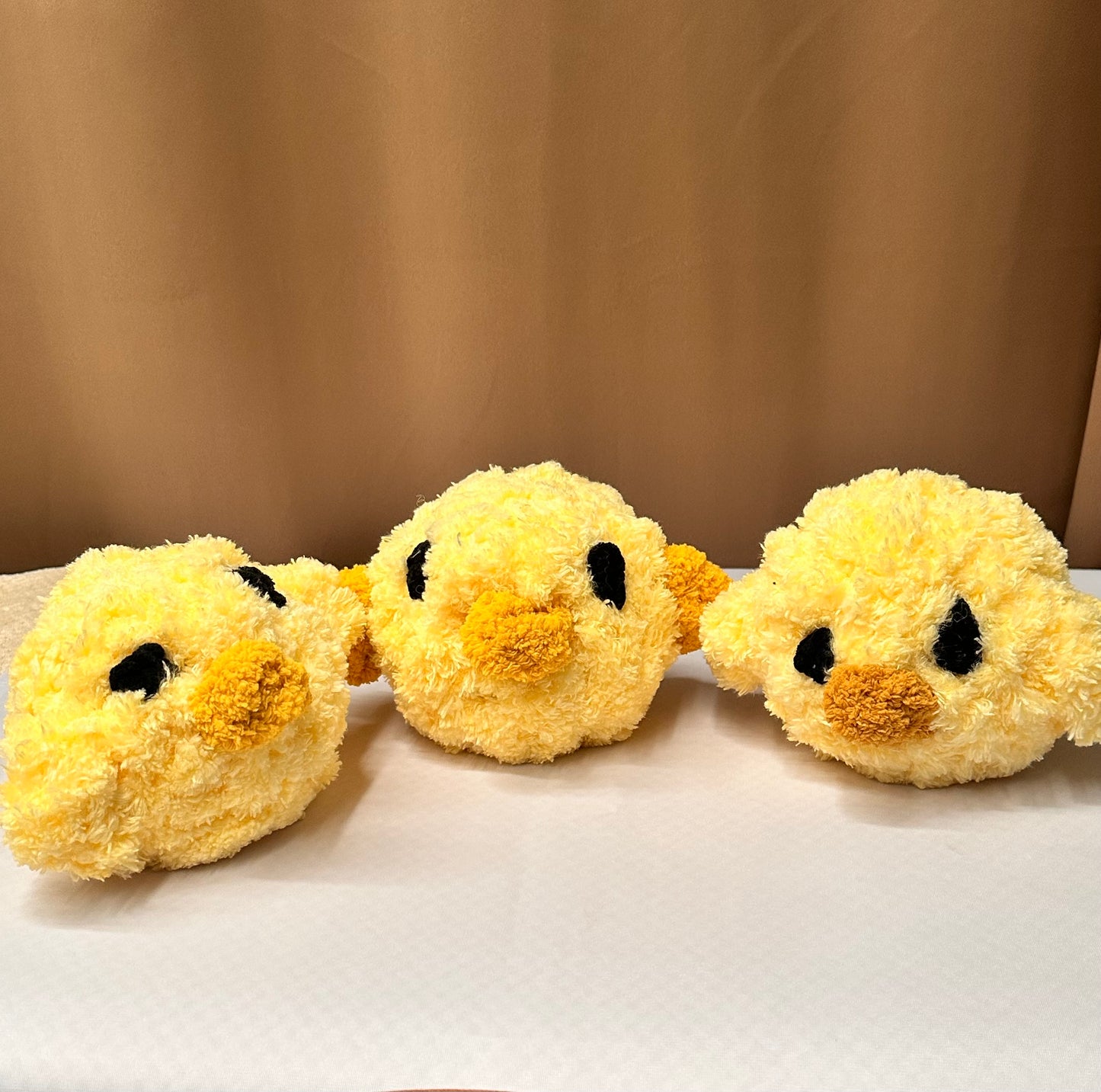 Pip – A Little Ray of Sunshine